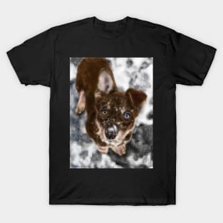 Husky Puppy in Snow T-Shirt